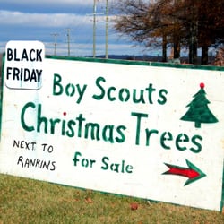 Warrenton Boy Scouts Christmas Trees - Photo credit: Sara Rayaprol