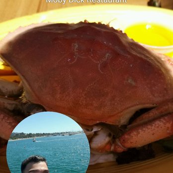 Moby Dick Restaurant - American Near Me - Santa Barbara, California Moby Dick Restaurant - American Near Me - Santa Barbara, California