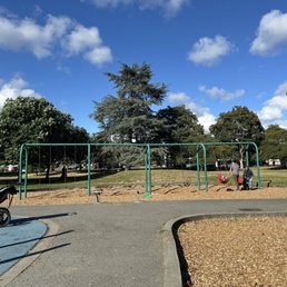 Big kid swings