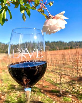 Starfield Vineyards & Winery by null