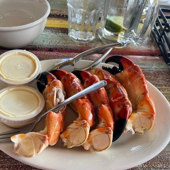 Casablanca - Muelas de cangrejo - Seafood Near Me - Miami, Florida Casablanca - Muelas de cangrejo - Seafood Near Me - Miami, Florida