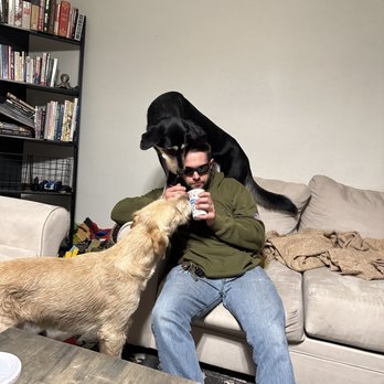 Vegas Valley K9 - They wanted my blizzard - Pet Training Near Me Vegas Valley K9 - They wanted my blizzard - Pet Training Near Me