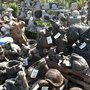 Photo of Frenz Garden Center