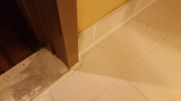 Waterfront Insular Hotel Davao by null