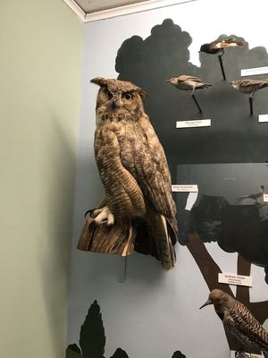 Cape Cod Museum Of Natural History by null