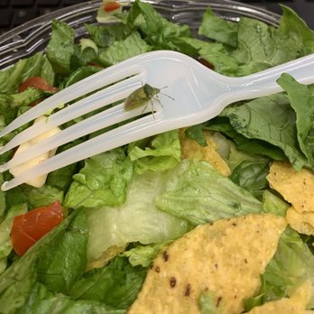 Chopt Creative Salad Co. - Salad Near Me - New York, New York Chopt Creative Salad Co. - Salad Near Me - New York, New York