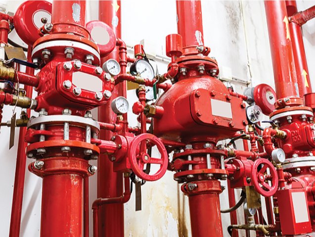 Slide of Eddie B Fire