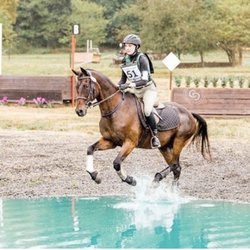 Freedom Run Equestrian Center
