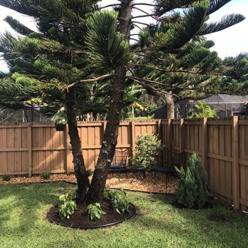 Next Level Landscaping and Maintenance - Landscaping Near Me - Lake Worth, Florida Next Level Landscaping and Maintenance - Landscaping Near Me - Lake Worth, Florida