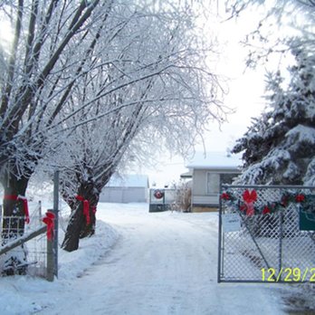 It's A Dog's House - Photo - Pet Boarding Near Me - Leduc County, Alberta