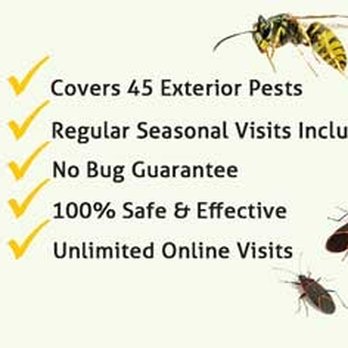 EnviroPest - Pest Control Near Me - Ithaca, New York EnviroPest - Pest Control Near Me - Ithaca, New York