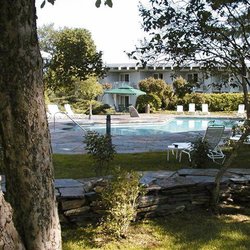 Paradise Inn