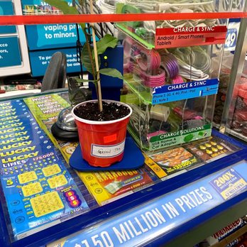 21 Seven Market - a plant in a plastic cup - Convenience Stores Near Me - Toronto, Ontario 21 Seven Market - a plant in a plastic cup - Convenience Stores Near Me - Toronto, Ontario