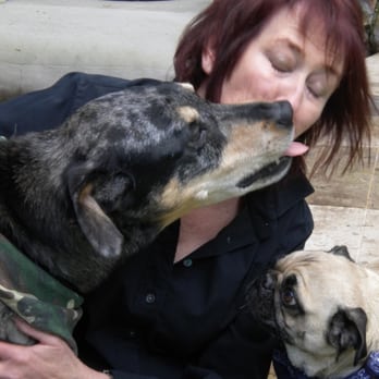 Deb Stambul - Pet Training Near Me Deb Stambul - Pet Training Near Me
