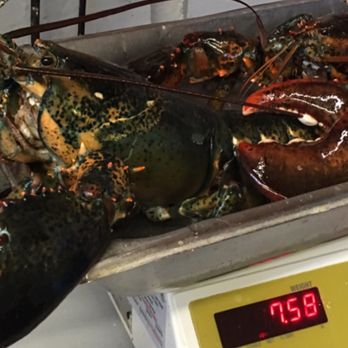 Roy Moore Lobster - Yum yum - Seafood Near Me - Rockport, Massachusetts Roy Moore Lobster - Yum yum - Seafood Near Me - Rockport, Massachusetts