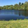Photo of Jackson Pond