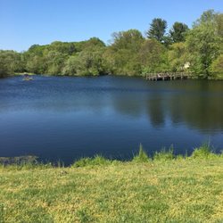 Jackson Pond - Beautiful view!