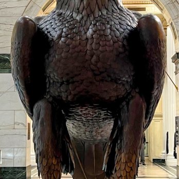 Macy's - The Grand Court Eagle - Department Stores Near Me - Philadelphia, Pennsylvania