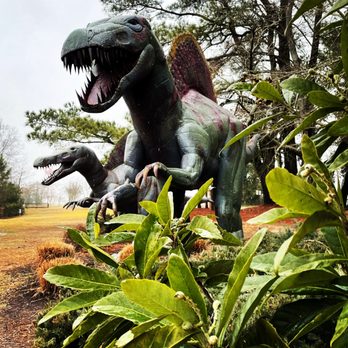 Jerrassic Park - Parks Near Me - Virginia Beach, Virginia