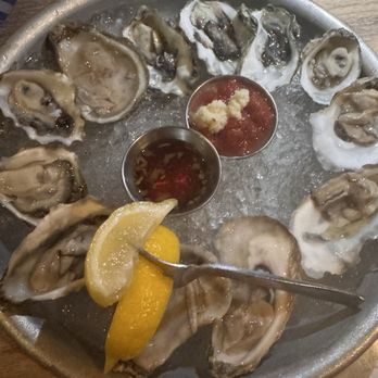Ketch Grill & Taps - Freshly Shucked Oysters - Salad Near Me - San Diego, California