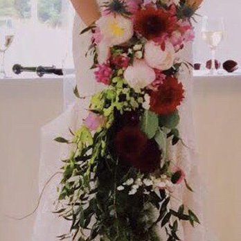 Darcee the Flower Lady - Florists Near Me Darcee the Flower Lady - Florists Near Me