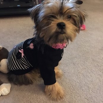 BaxterBoo - Pet Stores Near Me - Vernon Hills, Illinois