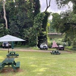 Healthy Hut Market and Cafe - Picnic area out back