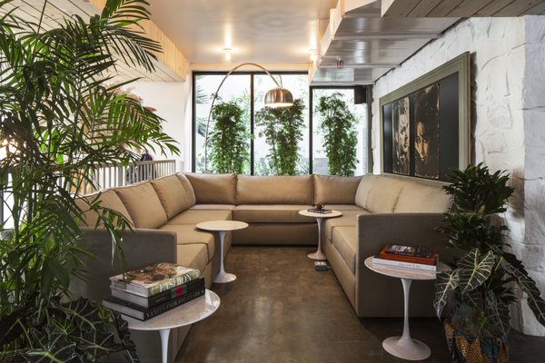 Treehouse Hollywood by null