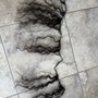 Michelle's Fantastic Hair