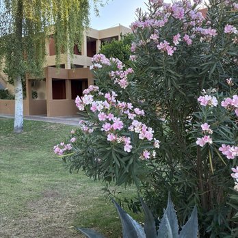 Orange Tree Resort - Hotels Near Me - Scottsdale, Arizona Orange Tree Resort - Hotels Near Me - Scottsdale, Arizona