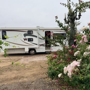 Don Fernando's Vineyards & Nursery - Wine Tours Near Me - Temecula, California