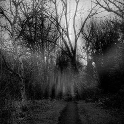 Haunted Hayride and Scream Creek