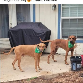 Ridges & Paws - Pet Boarding Near Me - San Antonio, Texas Ridges & Paws - Pet Boarding Near Me - San Antonio, Texas