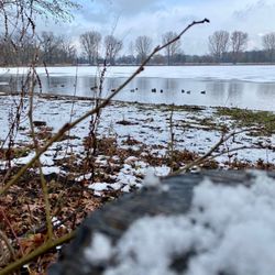 Dutzendteich