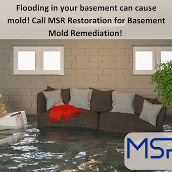 MSR Restoration - Environmental Testing Near Me - Haddon Township, New Jersey MSR Restoration - Environmental Testing Near Me - Haddon Township, New Jersey