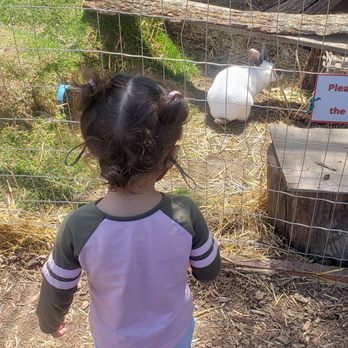 Kinder Farm Park - Rabbit - Playgrounds Near Me - Millersville, Maryland