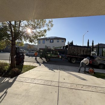 P & J Tree Services - Tree removal equipment - Tree Services Near Me - Fairfield, California