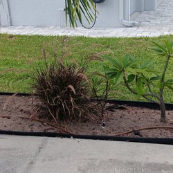 JP's Tree's Landscaping & Design 