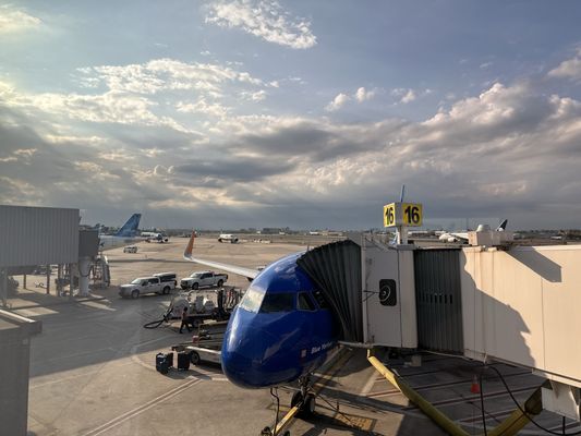 JetBlue Airways by null