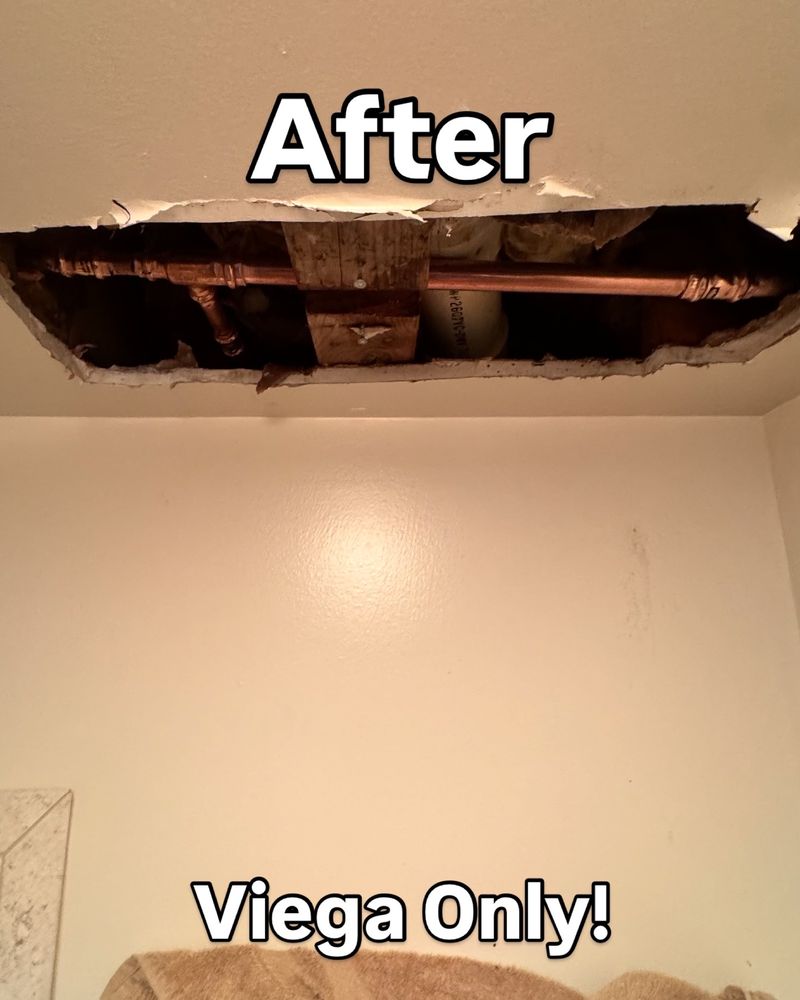 Slide of Peregrina Plumbing Company