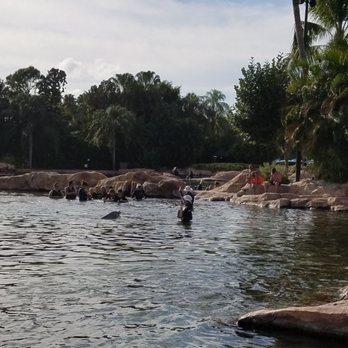Discovery Cove - Dolphin swim very short--15 to 20 mins total time w/ others (about 10) in the group so basically you just have  few mins with the dolphin. - Amusement Parks Near Me - Orlando, Florida