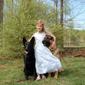 K9one LLC @ Stonehill Kennel - Pet Sitting Near Me - Goshen, Connecticut K9one LLC @ Stonehill Kennel - Pet Sitting Near Me - Goshen, Connecticut