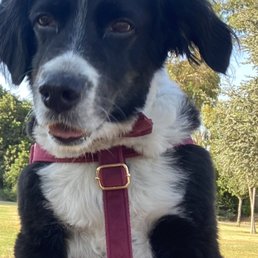 Dali loves this park