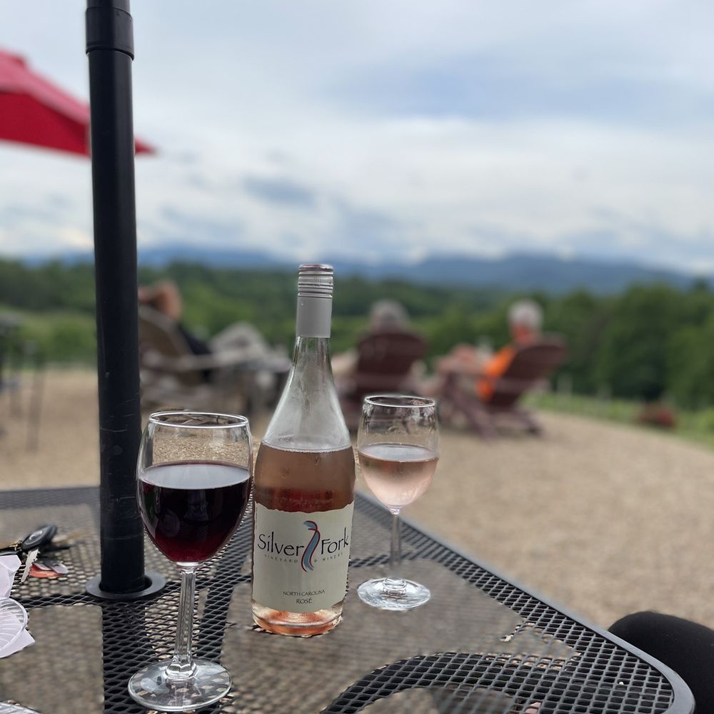 two glasses of wine and a bottle of wine two glasses of wine and a bottle of wine