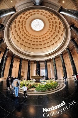National Gallery of Art by null