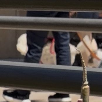 Cabazon Outlets - Best I could do of the dog with the best. - Outlet Stores Near Me - Cabazon, California Cabazon Outlets - Best I could do of the dog with the best. - Outlet Stores Near Me - Cabazon, California
