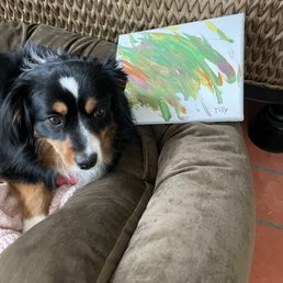 Tilly is proud of her artwork from today! Tilly is proud of her artwork from today!