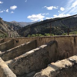 Olive Oil Tour
