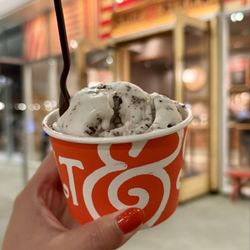Salt & Straw - Freckled Mint Chocolate Chip (Top) and Blackberry Tamales (Bottom)