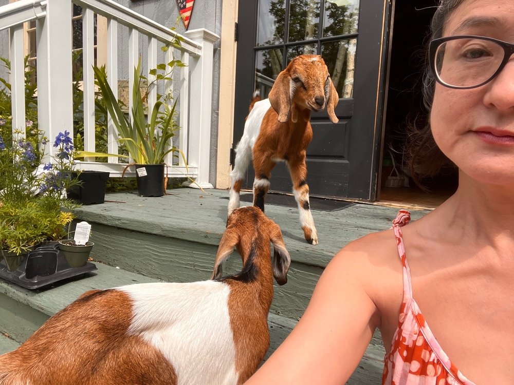 HARTMAN’S HERB FARM Updated September 2024 10 Photos & 10 Reviews